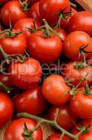 red tomatoes