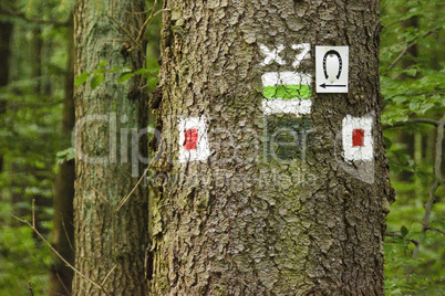 forest trail signs in germany
