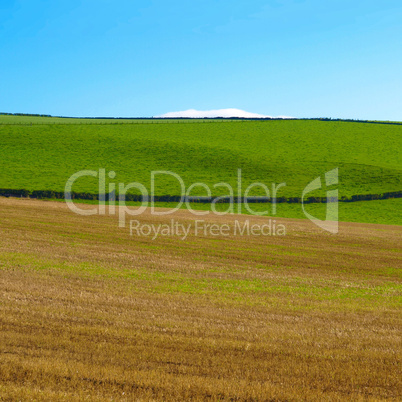 cardross hill panorama