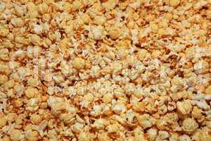 Popcorn