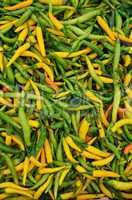 hot green and yellow peppers