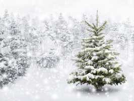 tannenbaum in schönem schneefall