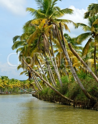 Backwaters in Kerala, Indien