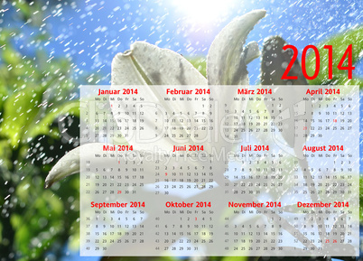 Kalender 2014 Quer rot Blume