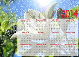 Kalender 2014 Quer rot Blume