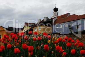 rote tulpen in barockstadt