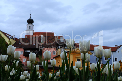 barockstadt und tulpen