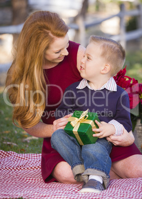 young boy holding christmas gift with his mom in park