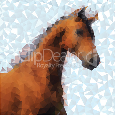 vector image of an horse