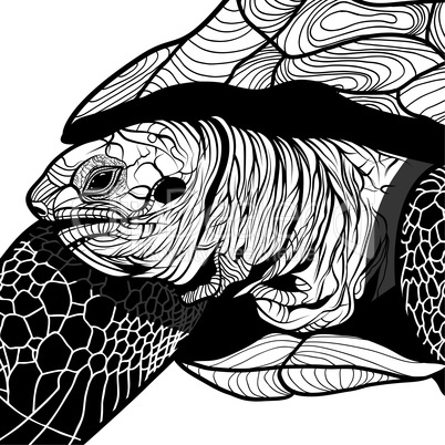 turtle animal head symbol for mascot or emblem design, logo vector illustration for t-shirt.