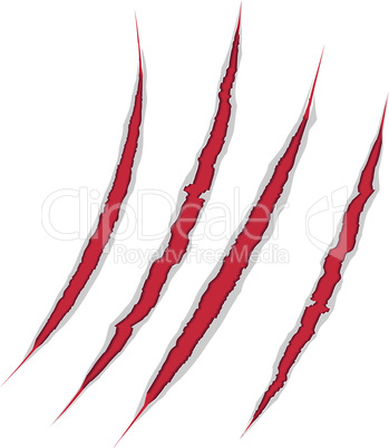 Claws scratch on paper background.