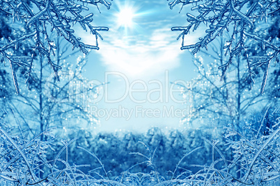 winter background with icy branches in the foreground