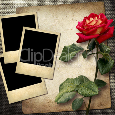 polaroid-style photo on a linen background  with red roses