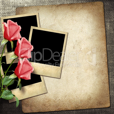 polaroid-style photo on a linen background  with red roses