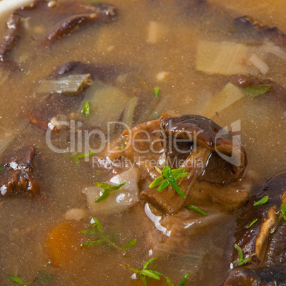 forest mushroom soup