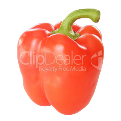 pepper isolated