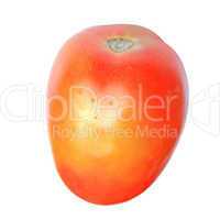 tomato isolated