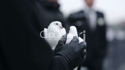 woman holding a dove in her hands