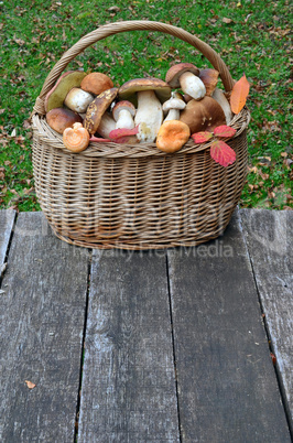 wild mushrooms in a a wicker basket