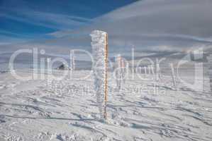 frozen pillars in rows