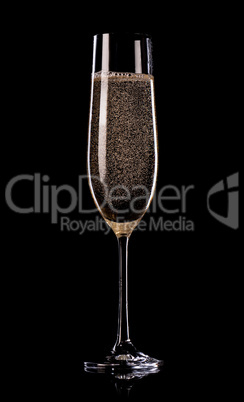 Champagne on black background