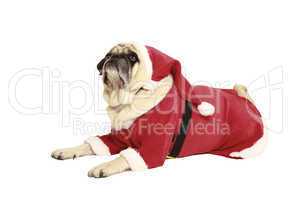 pug in santa costume lying