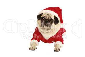 pug in santa claus costume lying