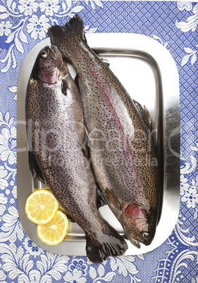 two fresh rainbow trouts on a stainless steel tray