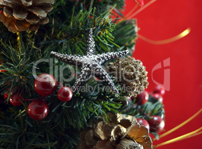Christmas decoration background with branches of pine