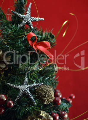 Christmas decoration background with branches of pine cones
