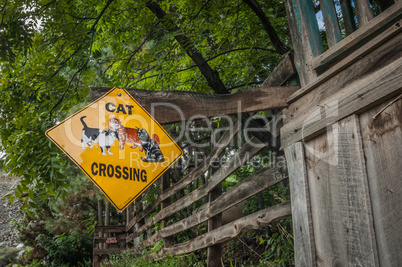 cat crossing sign in jerome arizona ghost town