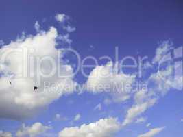 blue sky with clouds and kites
