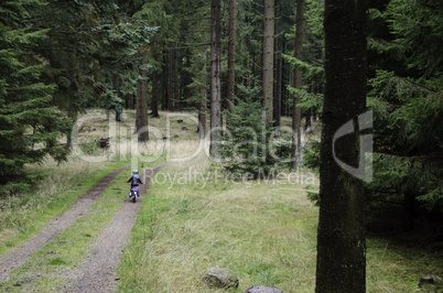 small kid cycling in the forest