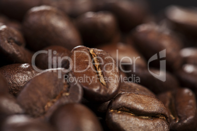 coffee bean background