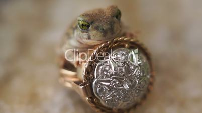 Frog Prince Ring Fairytale Fantasy