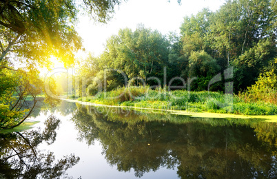 Morning on the river