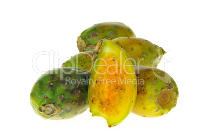 kaktusfeige - prickly pear 01