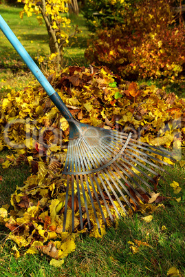 laub harken - leaves rake 03