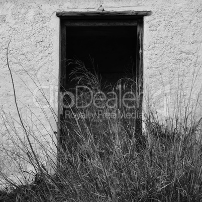 broken door and overgrown plants