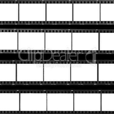 contact sheet blank film frames