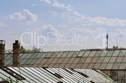 greenhouse glass roof