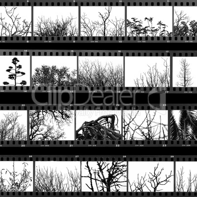 trees and plants film proof sheet