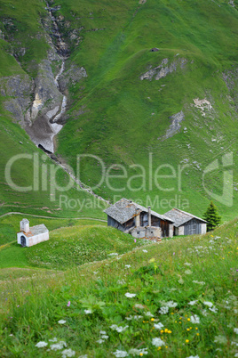 Bergsommer in den Alpen