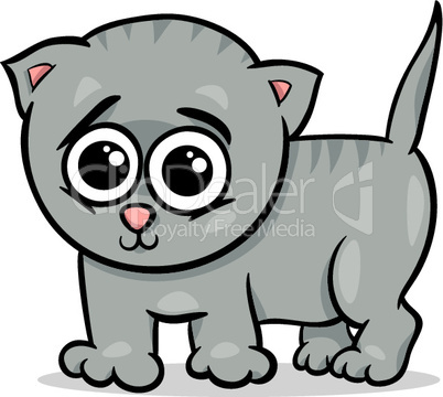 baby cat kitten cartoon illustration