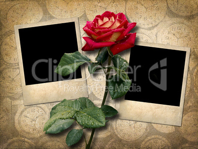 two polaroid-style photo  with red rose