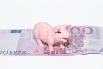 Luck Pig with euros