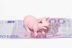 Luck Pig with euros