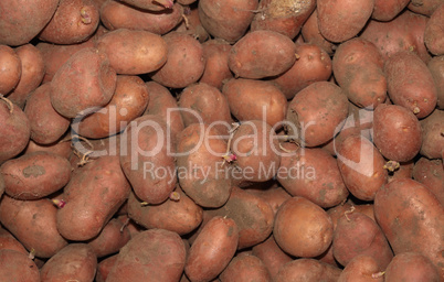 red potatoes