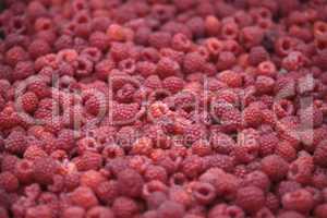 Raspberry background