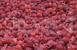 Raspberry background